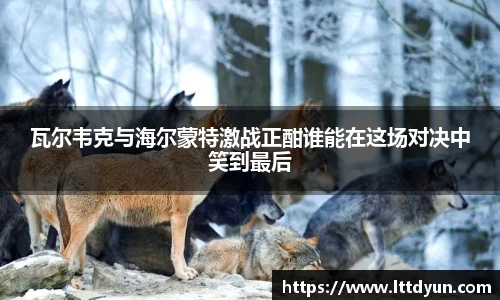瓦尔韦克与海尔蒙特激战正酣谁能在这场对决中笑到最后